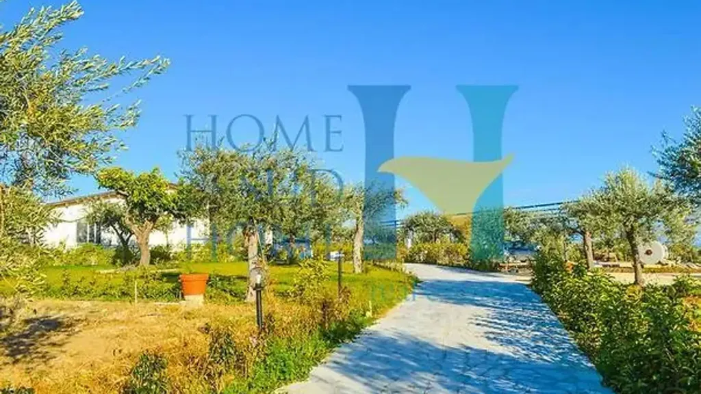 Garden - Villa with Olive Grove in Noto