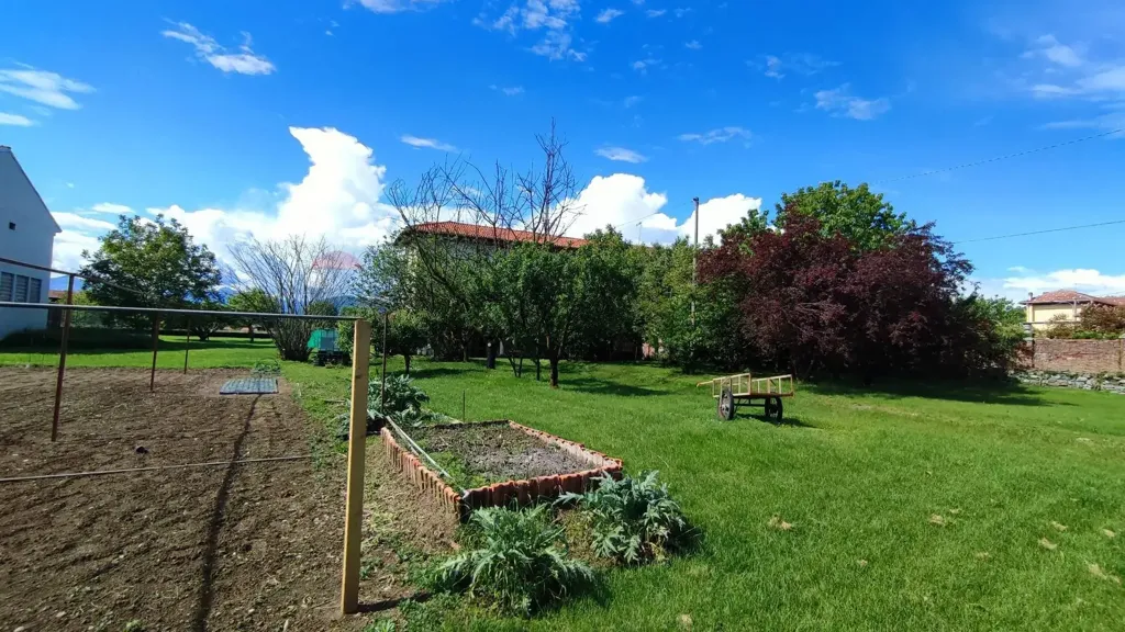 garden