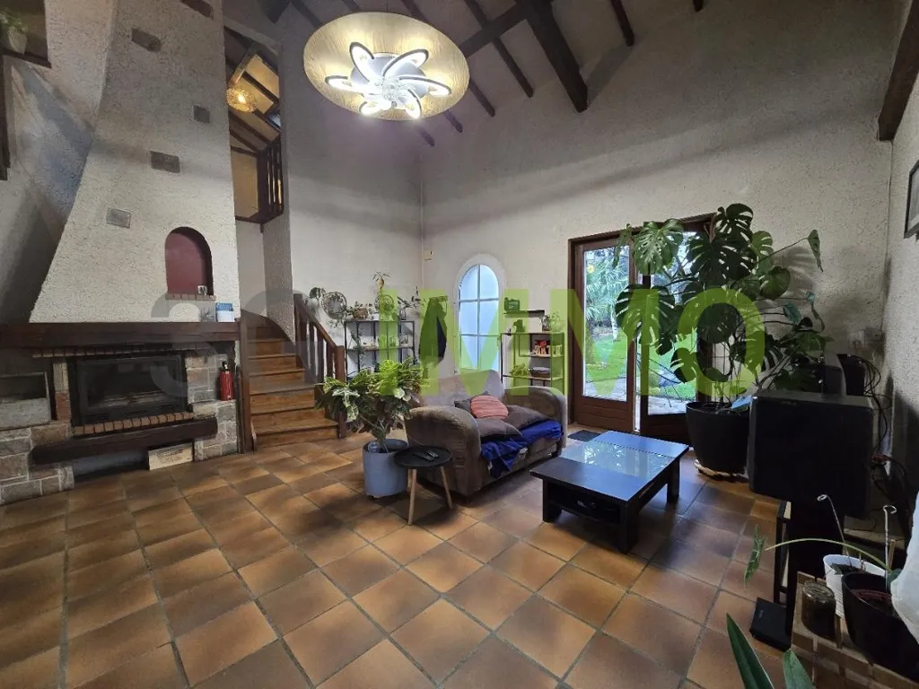 Séjour - Maison détachée avec terrasses à Néronde sur Dore