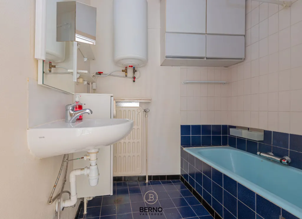 Vannitoad - Versatile Ground Floor Flat in Dendermonde Centre