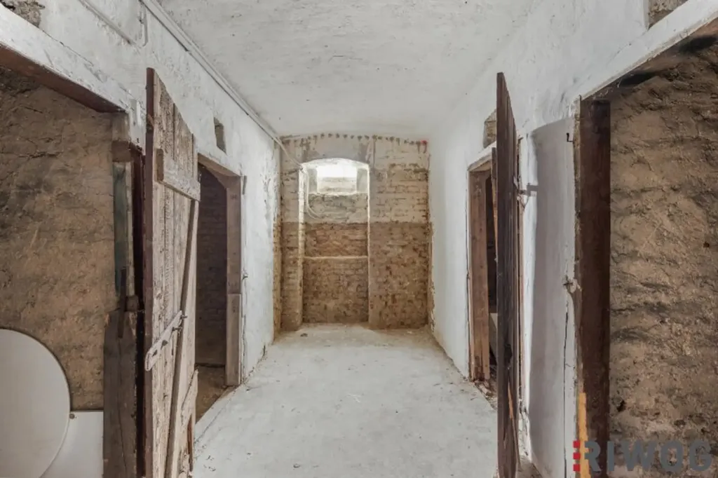 Hallway - Altbau with Optional Balcony in Hietzing