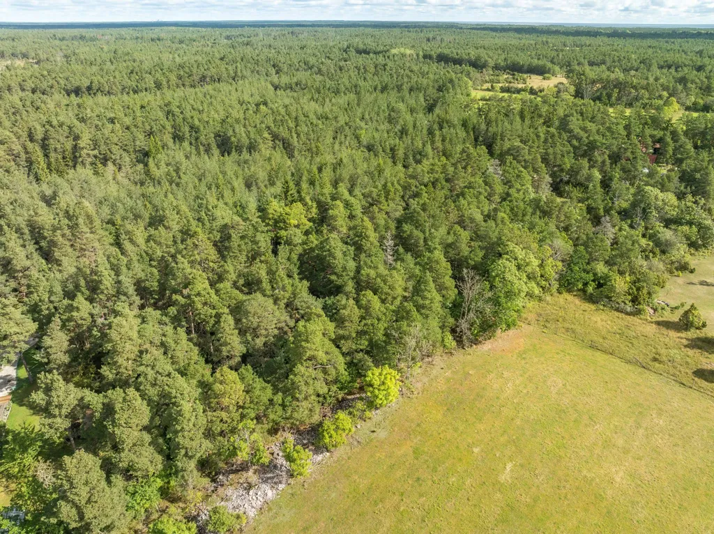 Õhuvaade - Large Plot with Preserved Vegetation in Anga