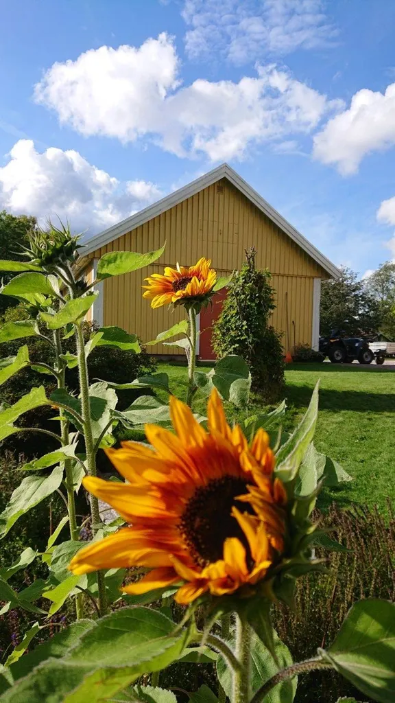 11-toaline maja asukohas Ulricehamns kommun