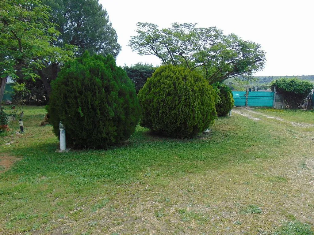 Jardin - Chalet with Finca in Alcaudete de La Jara