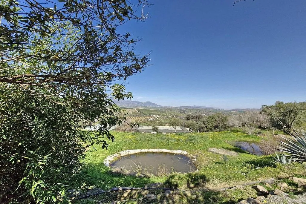 Garden - Rustic Cottage with Pool in Coín