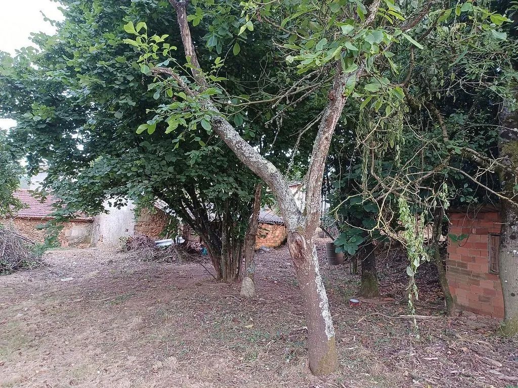 Giardino - Two-Storey Chalet with Garage in Merca