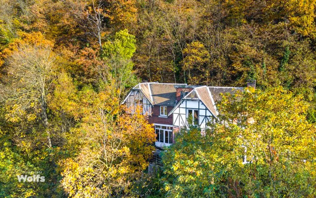 Vue aérienne - Maison de Caractère avec Terrasses à Visé