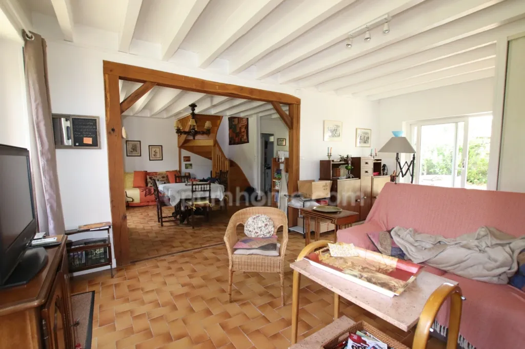 Séjour - Maison de Charme au Calme à Nancay