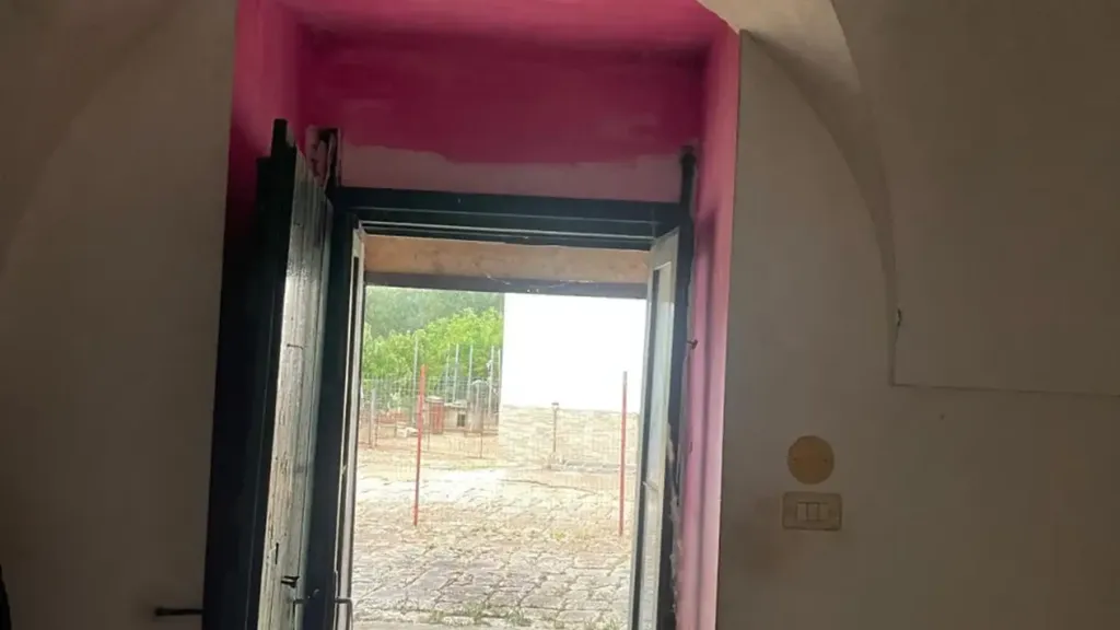 Entrée - Rustic Casale with Olive Grove in Ceglie Messapica