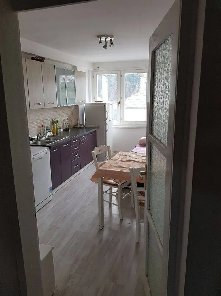 Cucina - Studio Flat with Balcony in Vrbovsko