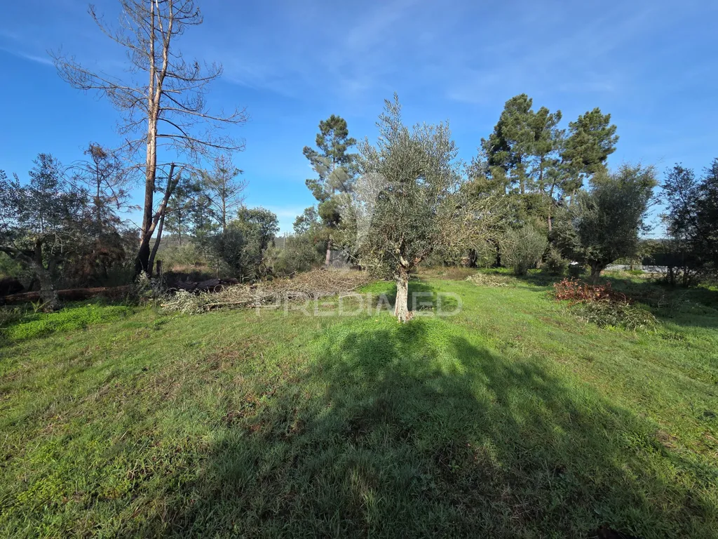 Aed - Urban Plot with Construction Permit in Ribatejo