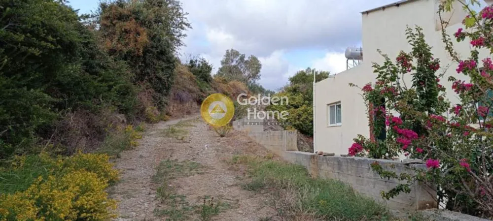 Jardin - Agricultural Plot with Sea View in Kymi - Coast
