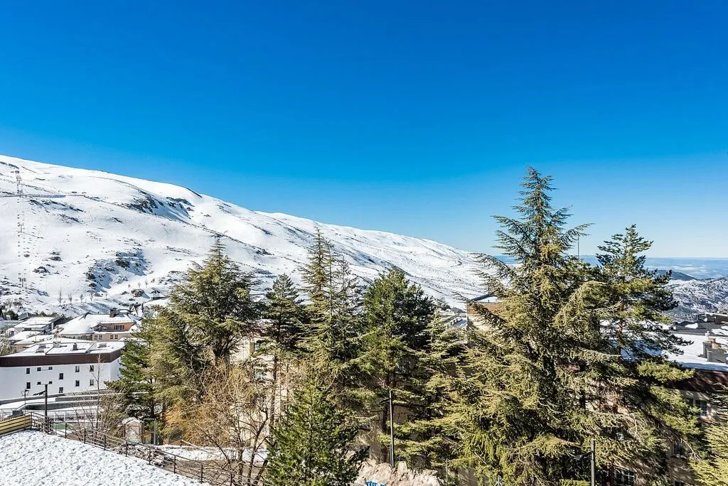 Balcon - Apartment with Terrace in Sierra Nevada