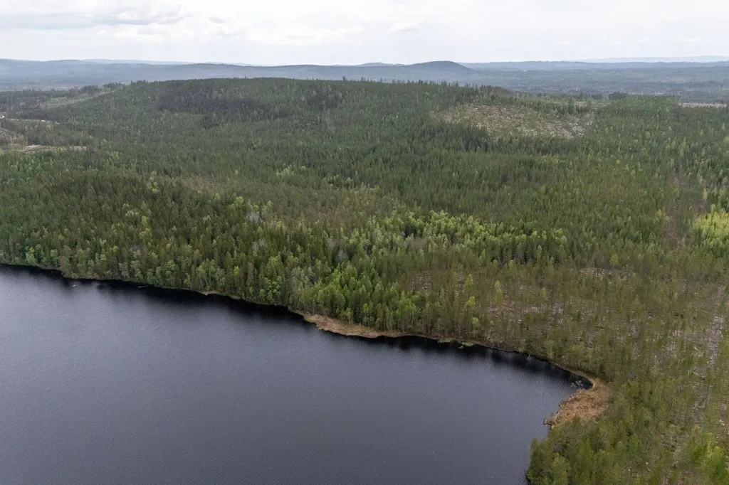 Vue aérienne - Forest Property with Timber in Ljusdal