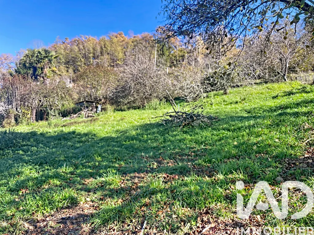 Jardin - Terrain Constructible à Monein avec Déclaration Préalable
