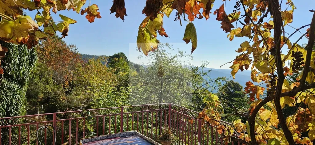Terrasse - Mas Cévenol avec Piscine et Vue Dégagée