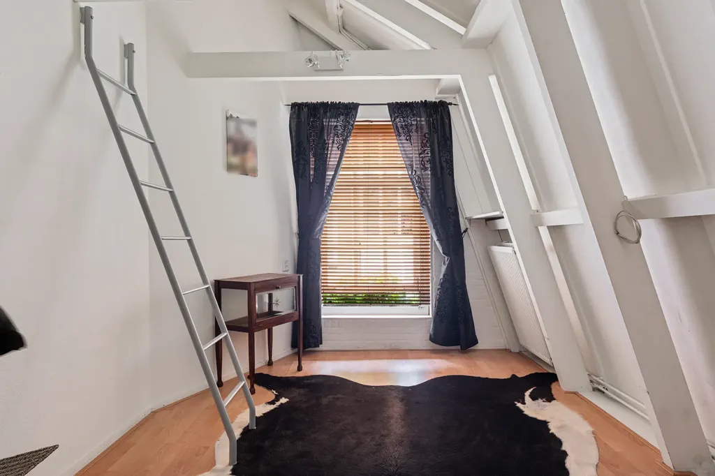 Magamistoad - Historic House with Patio in Alkmaar