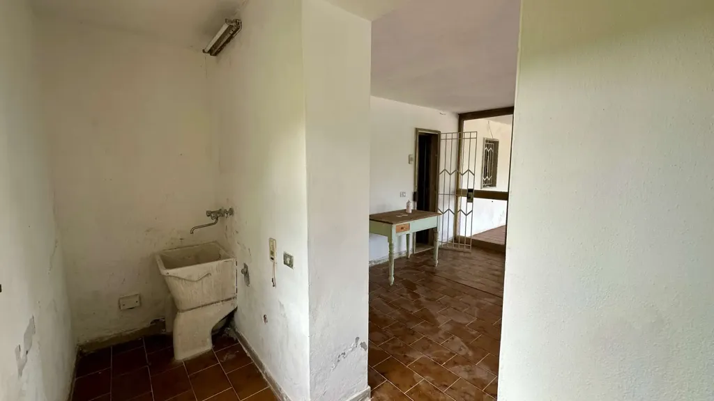 Vannitoad - Villa with Garden in Capannori