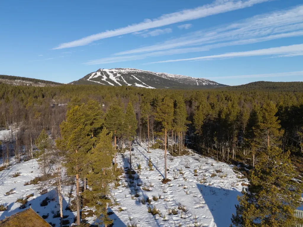 Aed - Corner Plot with Ski Access in Ljusnedal