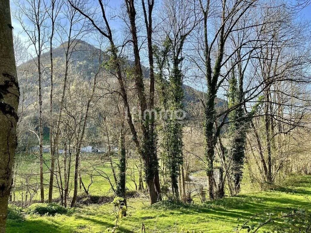 Jardin - Terrain avec Bois et Grange dans un Village Calme