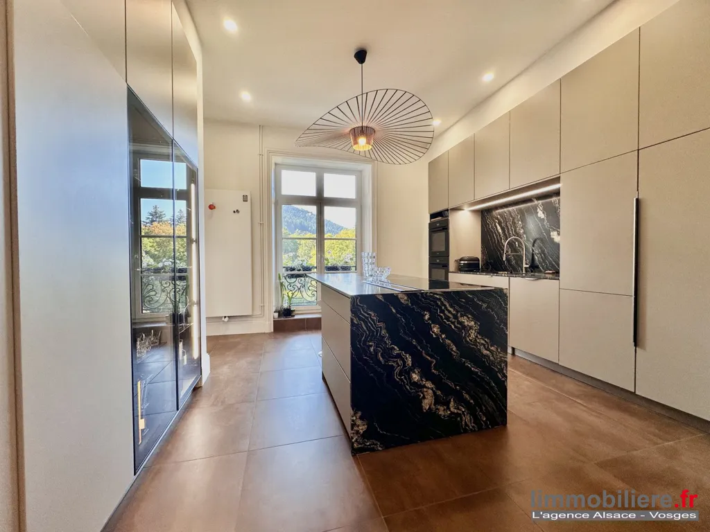 Cucina - Luxury Flat with Park Views in Saint-Dié-des-Vosges
