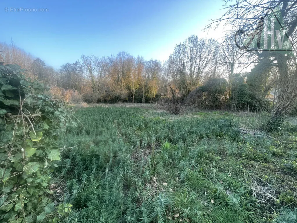 Jardín - Buildable Land with Garden near Longueville
