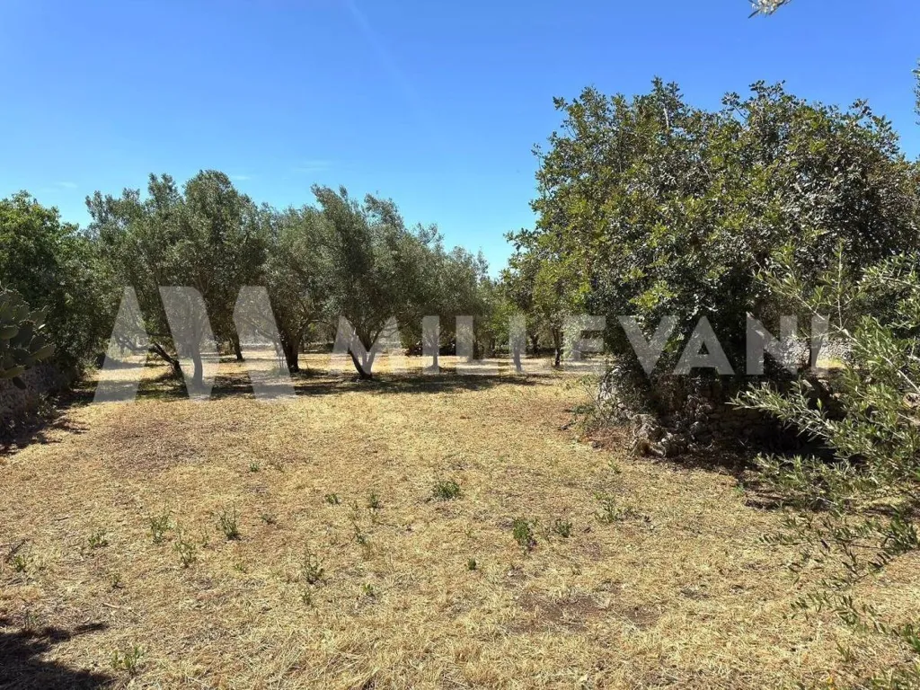 Aed - Elegant Villa with Pool in Modica