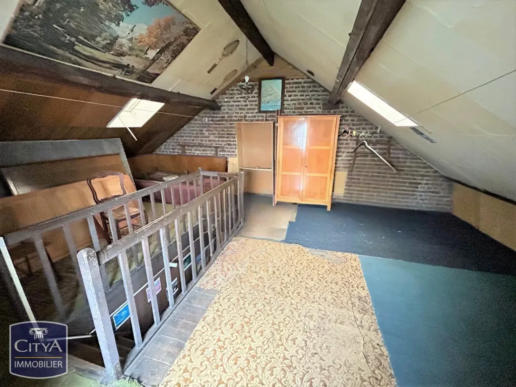 Toad - Spacious Bourgeoise with Garden in Esquermes, Lille