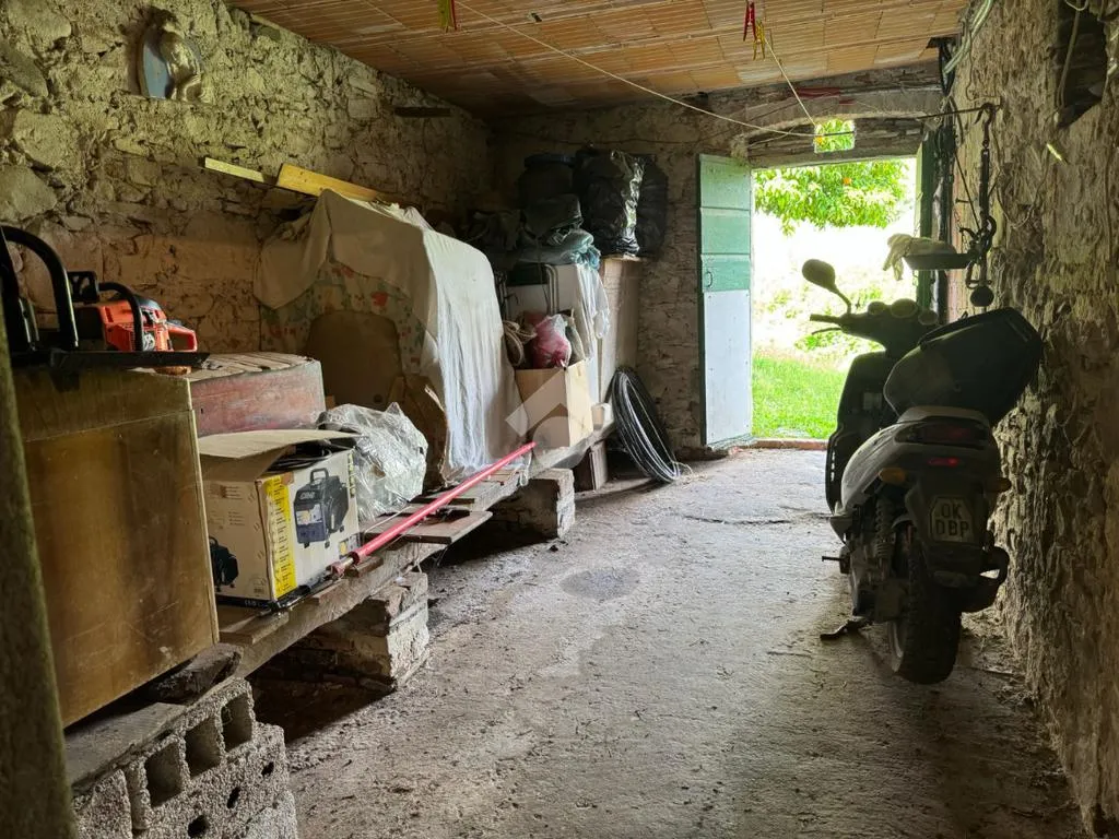 Pesuköök - Rustic House with Olive Grove in Buggiano