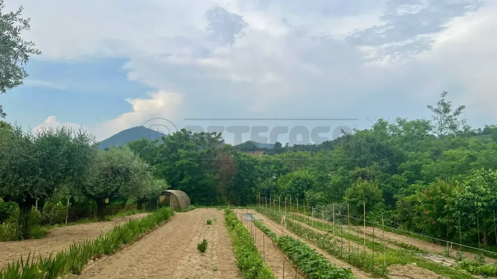 Jardin - Villa with Secure Vault in Vo'