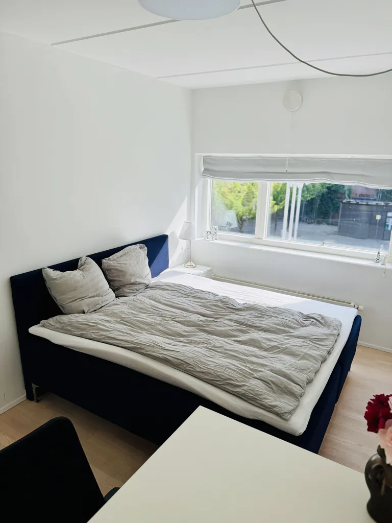 Magamistoad - Central Apartment with Balcony in City Centre