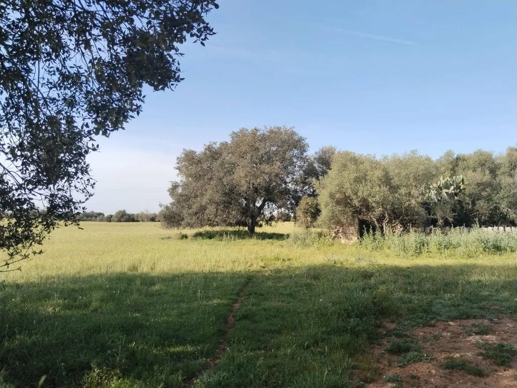 land_plot
