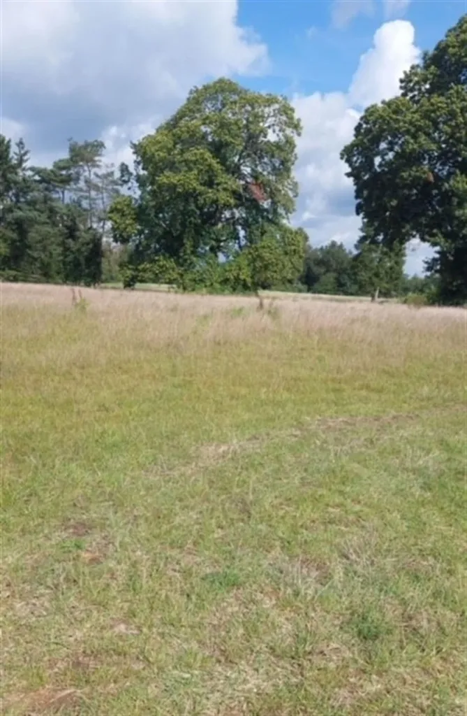 Aed - 3-Bedroom Plot with Building Obligation in Nijlen