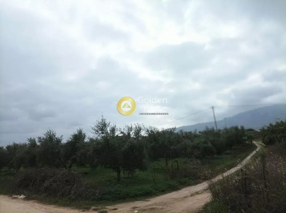 Aed - Buildable Plot with Sea View in Aprovouna, Chania