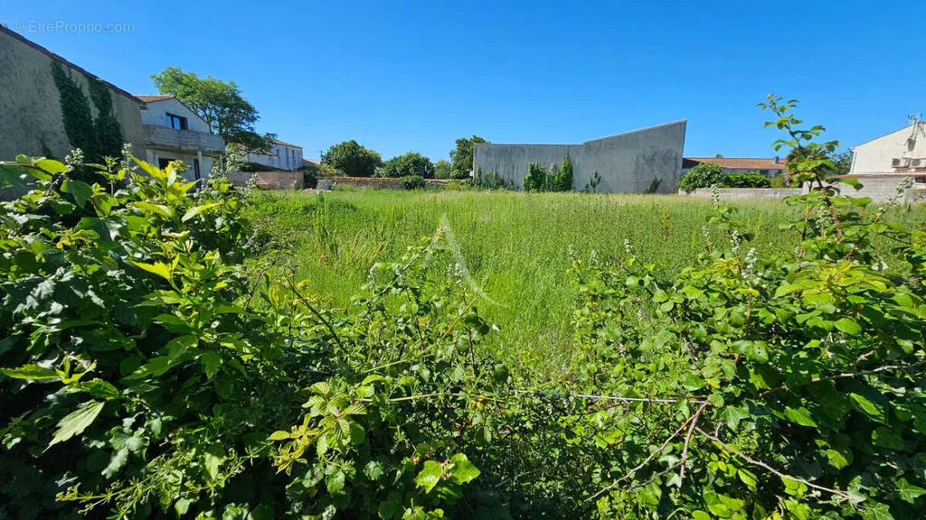 Aed - Buildable Plot with Sea Proximity in Saint Froult