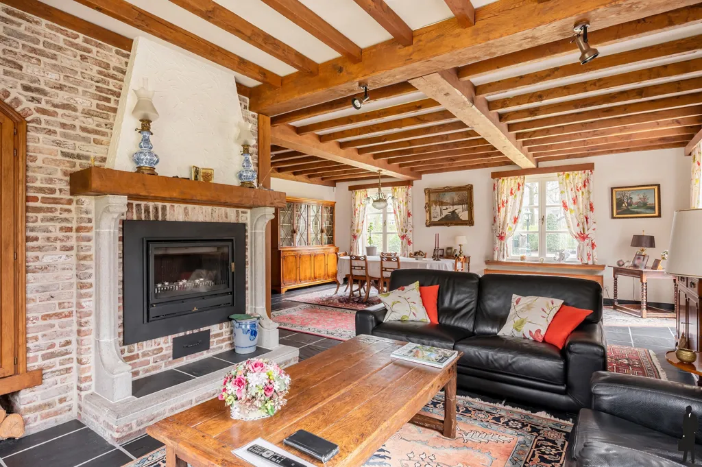 Living Room - Country Villa with Terrace and Garden