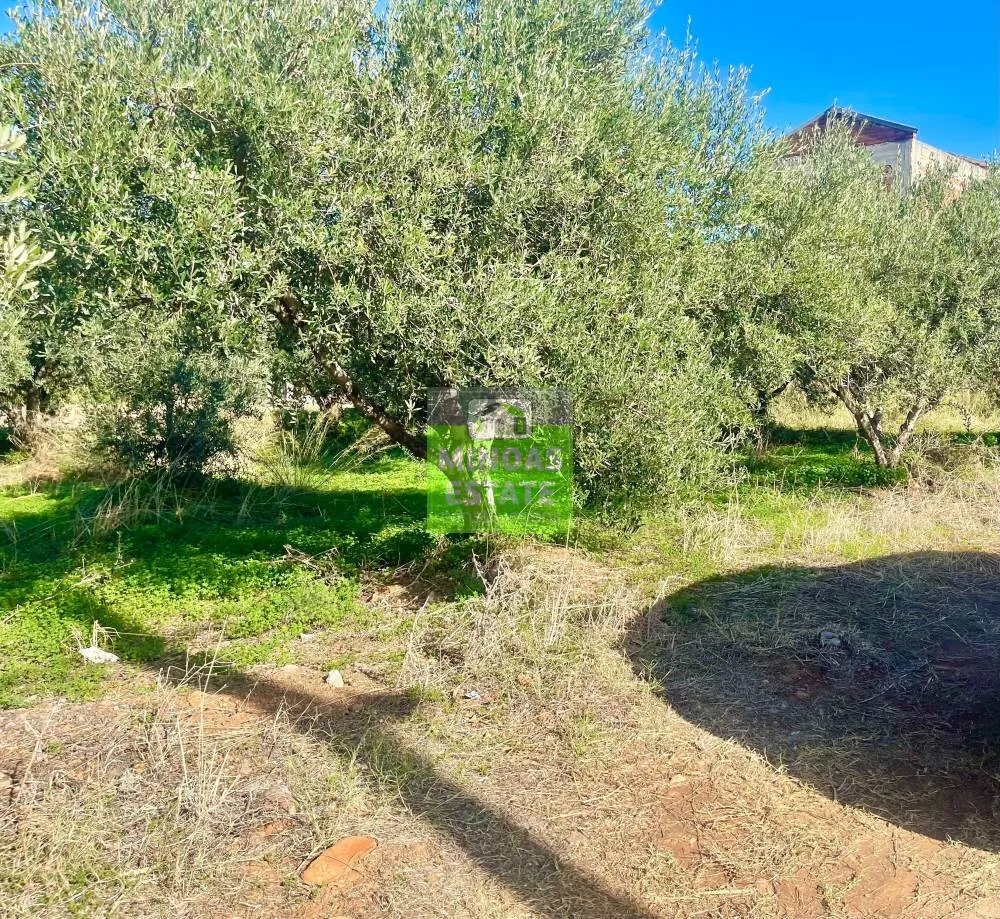 Aed - Corner Plot with Sea View in Tavronitis