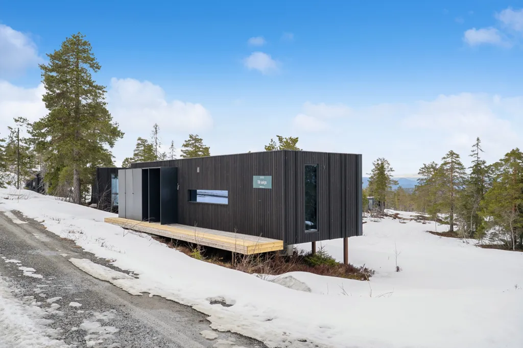 Extérieur - Architect-Designed Cabin with Ski Access in Omgi Blefjell