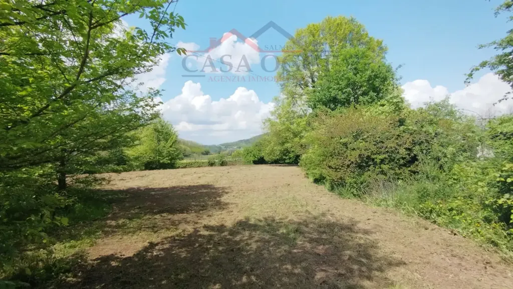 Garden - Rustic Property with Mountain View in Teolo
