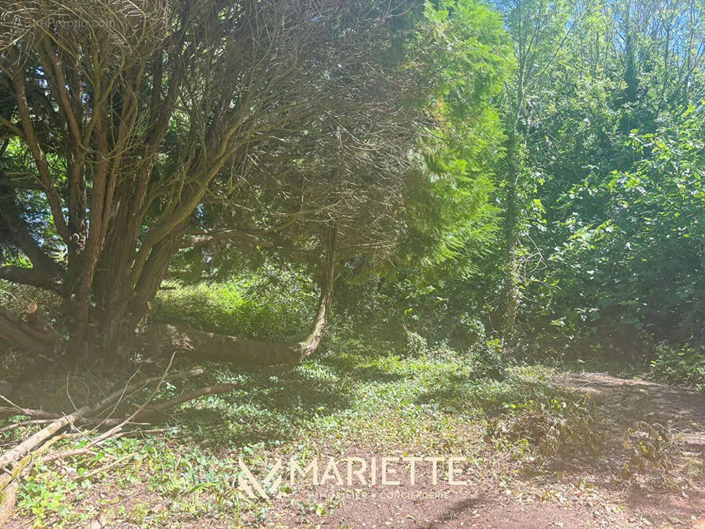 Aed - Buildable Plot with Coastal Access in Kerascoët