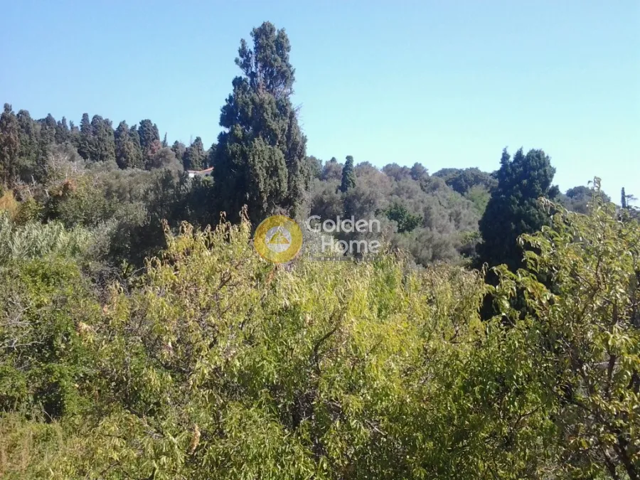 Garden - Amphitheatre Plot for Villa in Andros