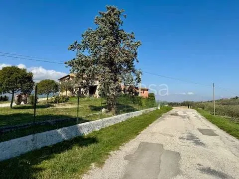 Jardin - Rustic Podere with Olive Grove near Spoleto