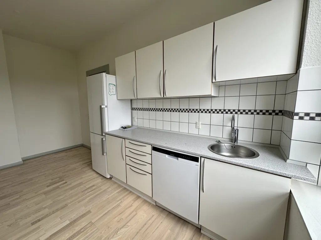 Cuisine - Spacious Flat in Central Odense