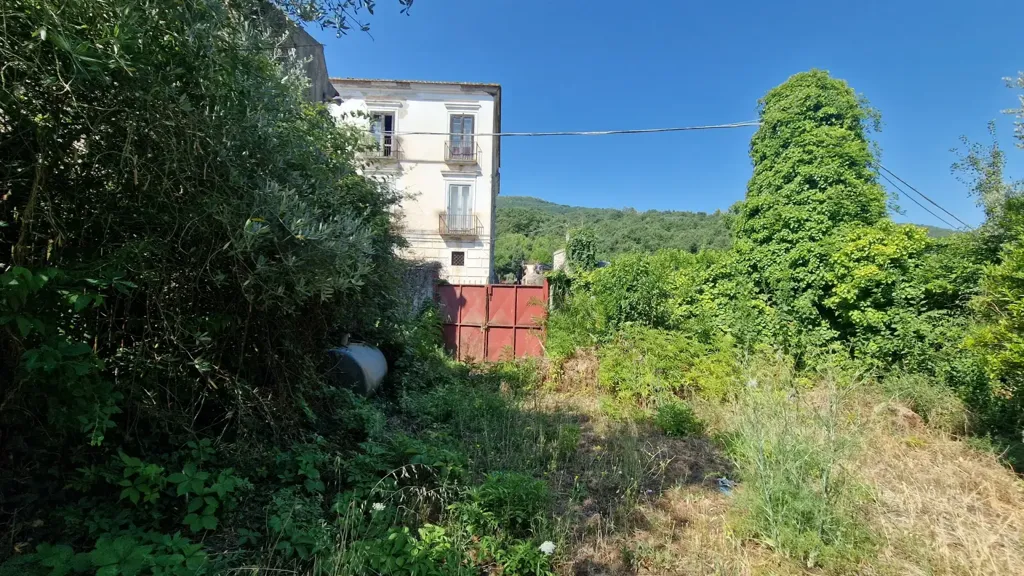 Jardin - Historic Home with Terraces in Alvignano