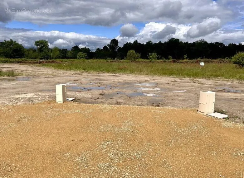 Giardino - 4,400 m² Plot in Pompéjac, Gironde