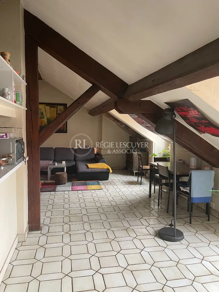 Stanze - 3-Bed Flat with Rooftop View in Lyon 2