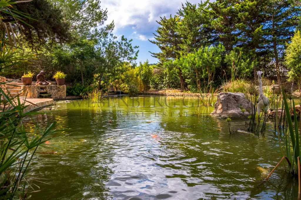 Jardin - Historic Chalet with Pool and Terrace in Sant Josep