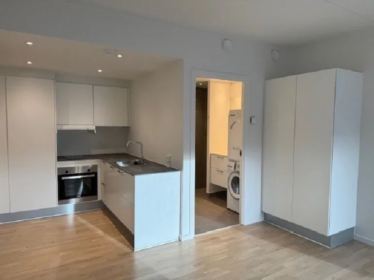 Cuisine - One-Bedroom Apartment with Central Location in Odense C