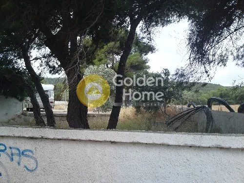 Jardin - Farmhouse with Pool in Eastern Attica