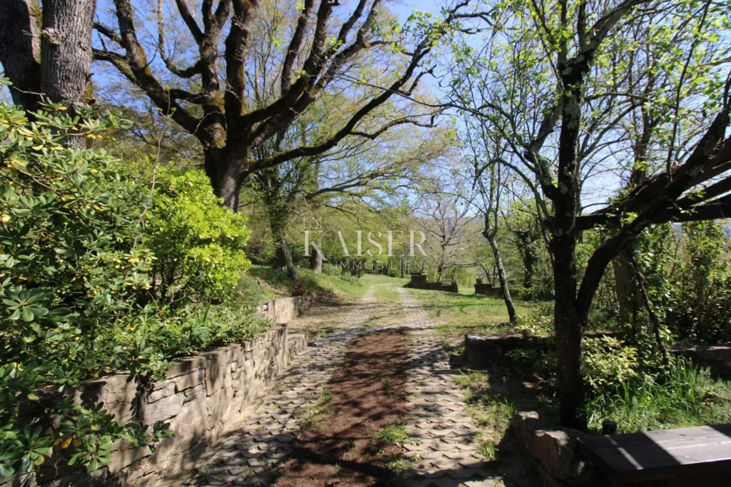 Jardin - Country House with Large Garden in Buzet
